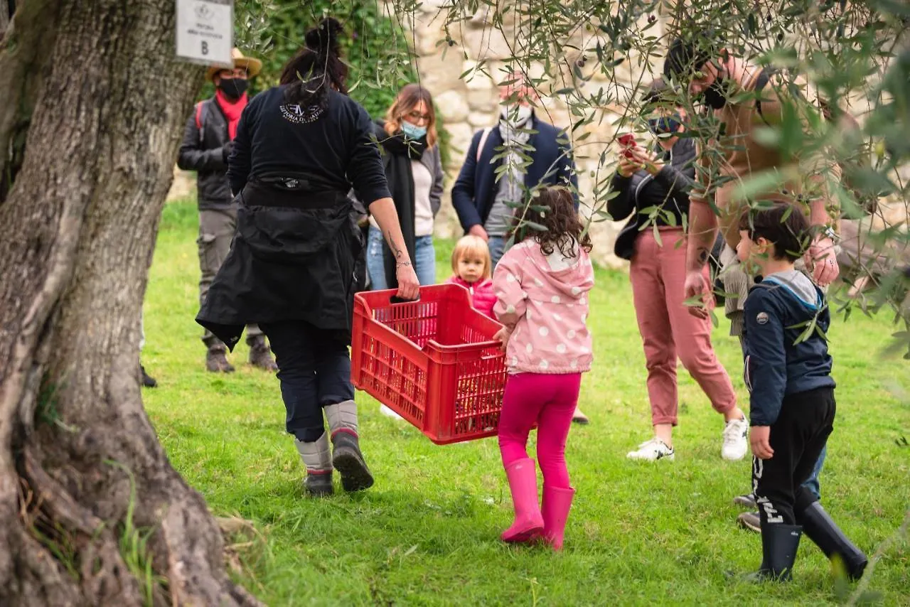 בית הארחה פייזולה 	Fattoria Di Maiano
