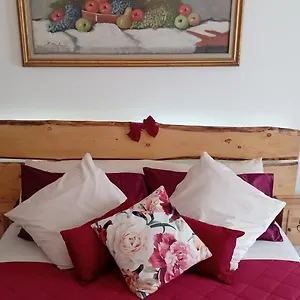 Express Luxury Apartment Tirano